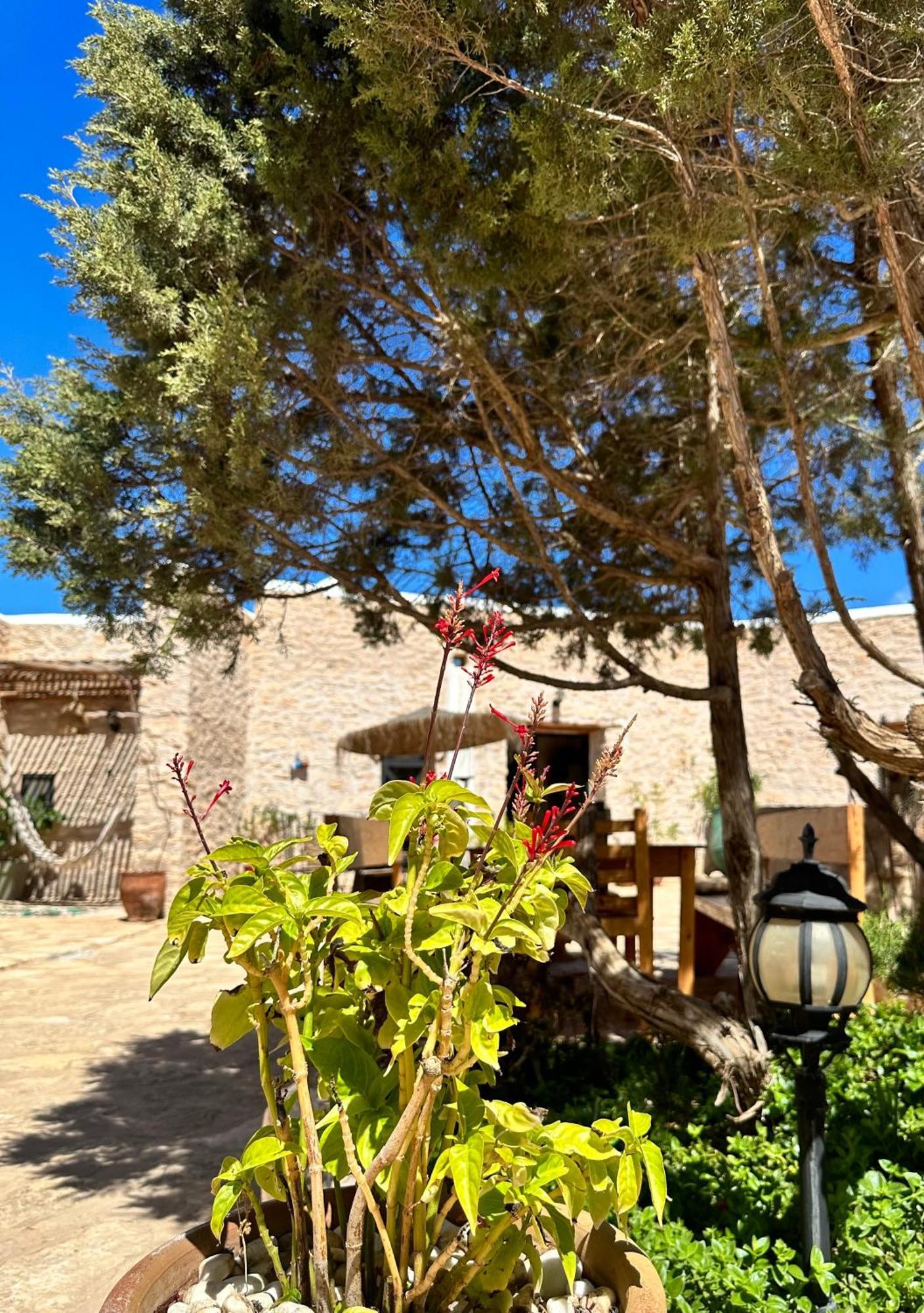 Atlantis 12, Maison D'Hotes Et D'Art As-Sawíra Exteriér fotografie
